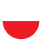 Poolse valg
